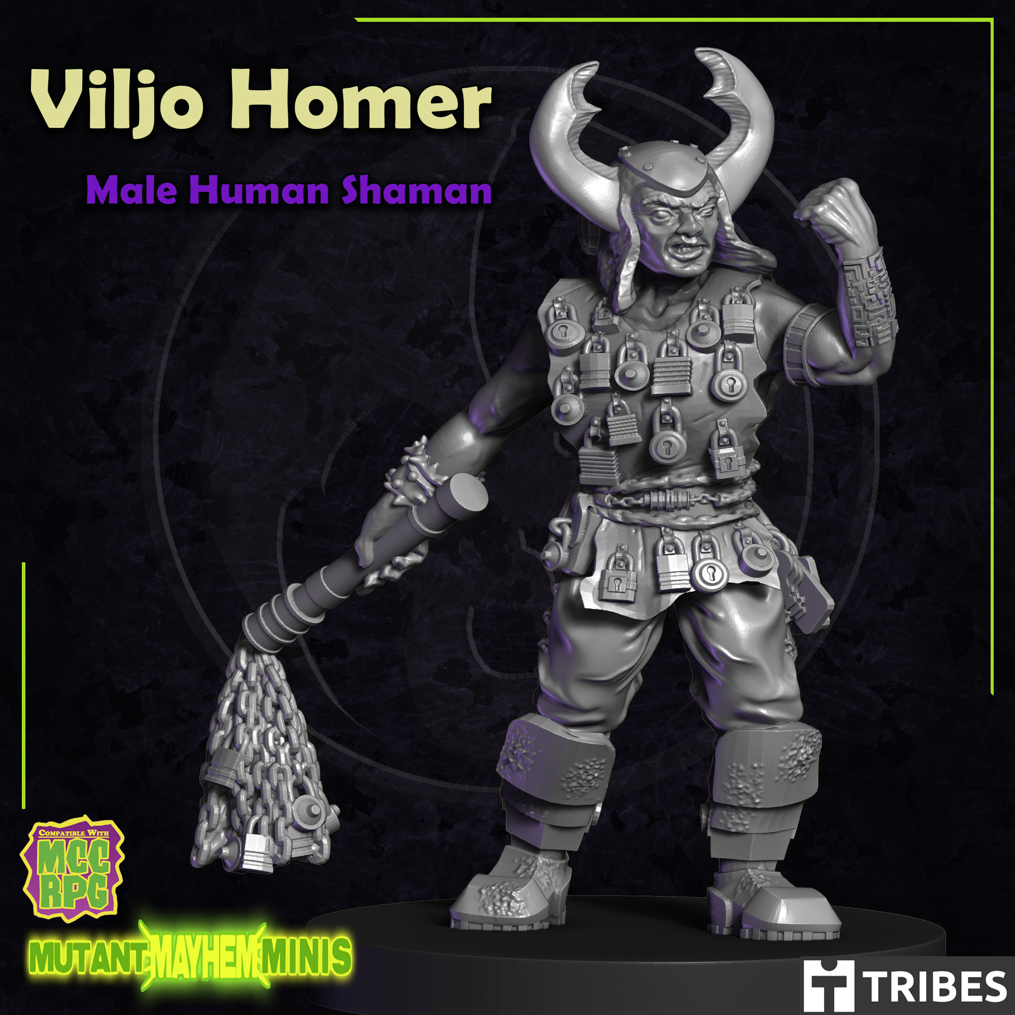 Viljo Homer - Male Human Shaman