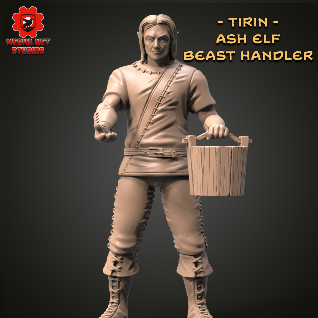 Tirin - Ash Elf Beast Handler
