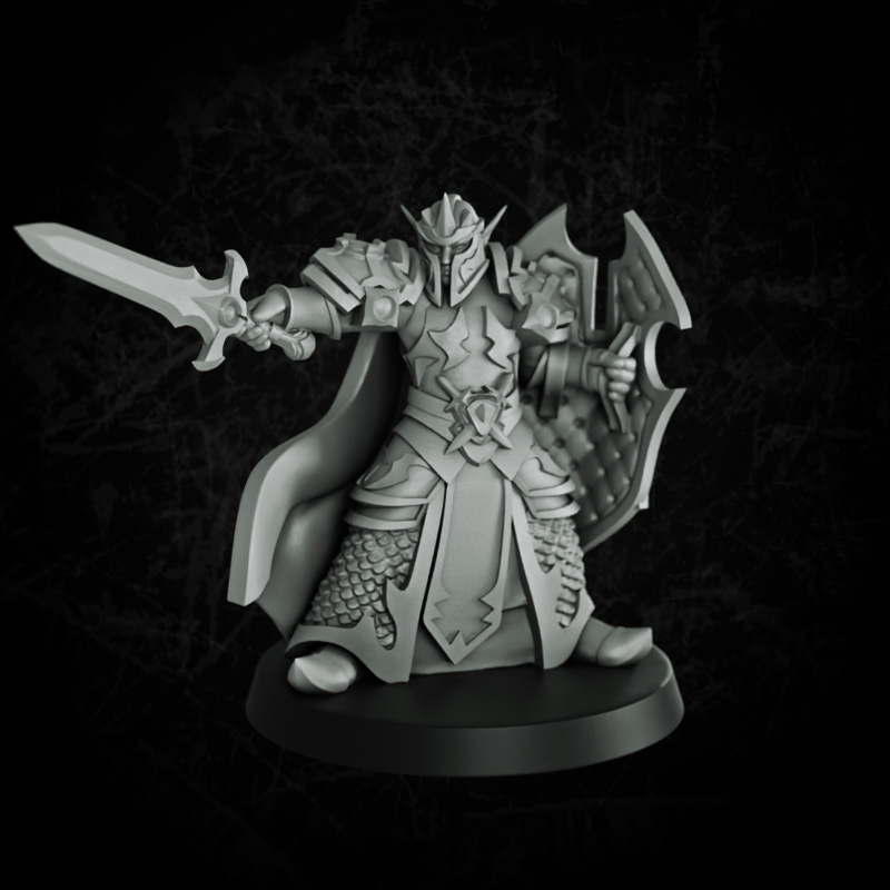 Elf paladin