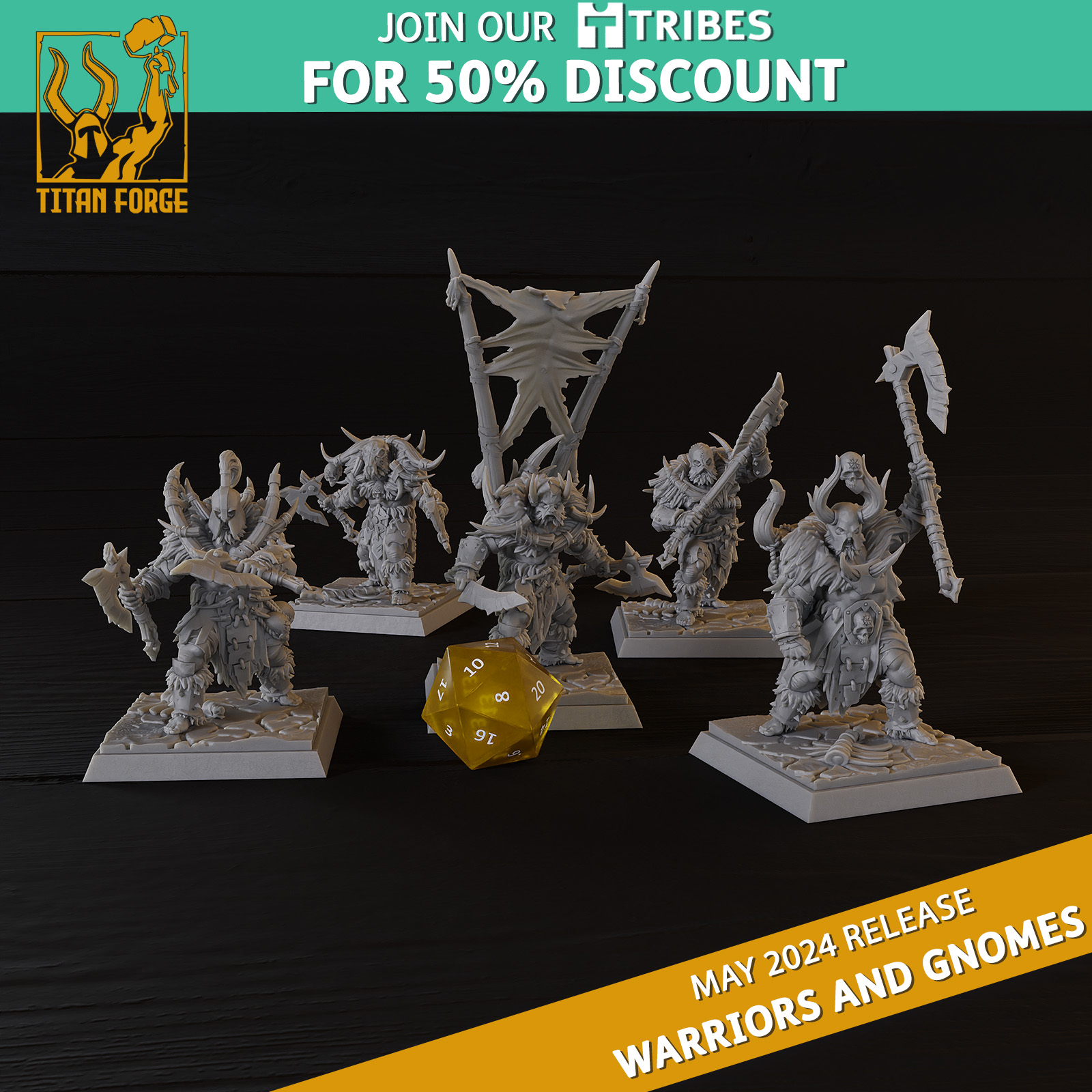 Warriors Maruders - Warriors and Gnomes - Titan Forge Miniatures May 2024