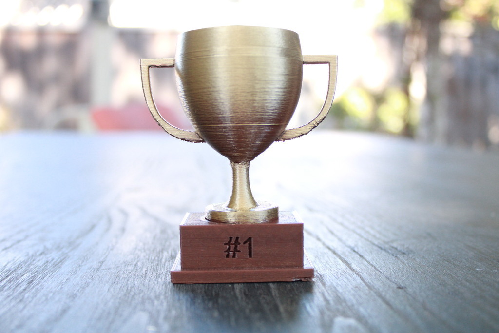 1st Place Trophy