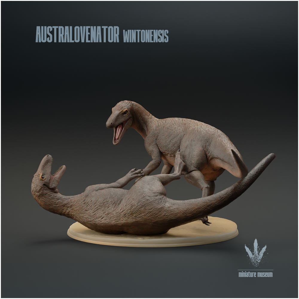 Australovenator wintonensis : Fighting