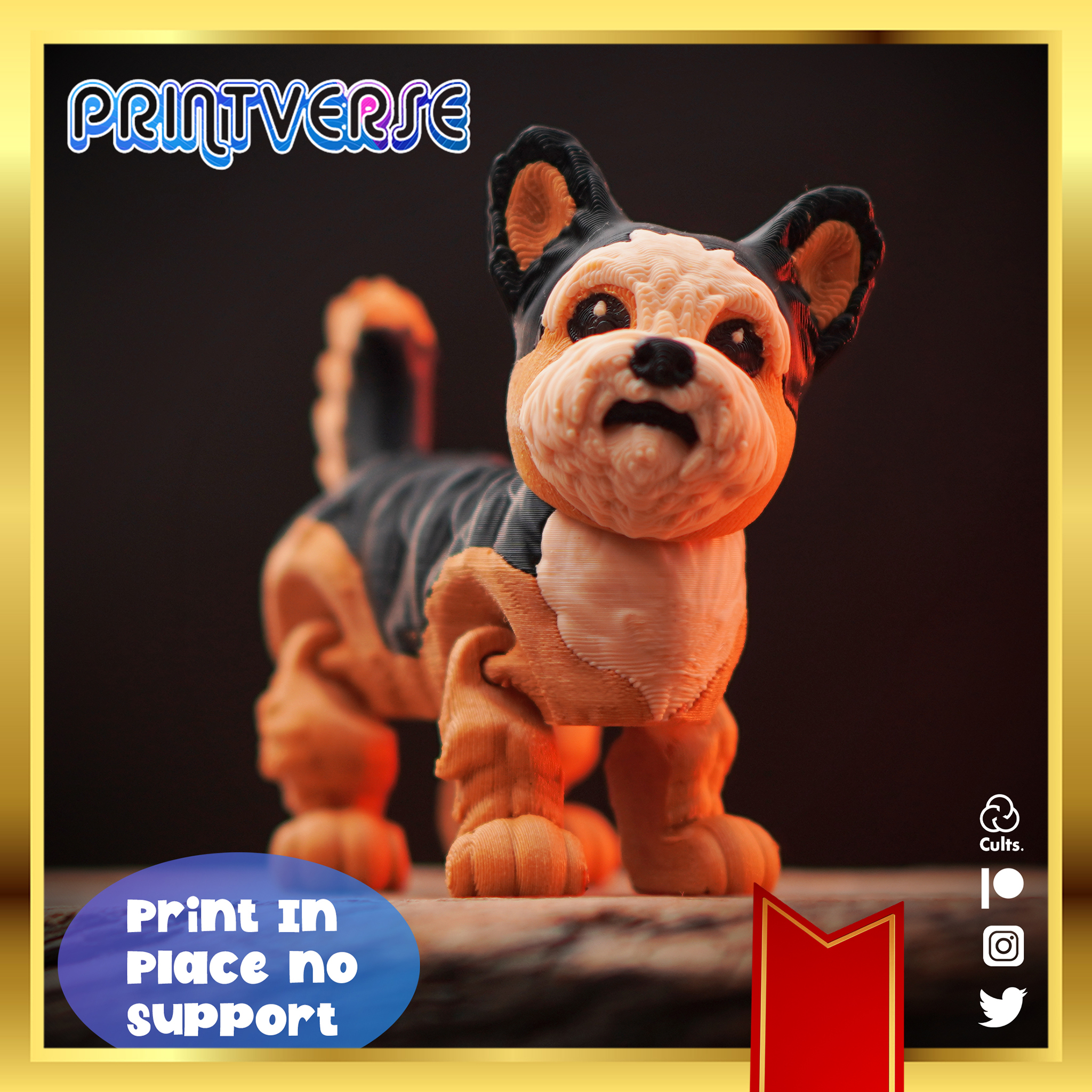 Yorkie Dog Exclusive
