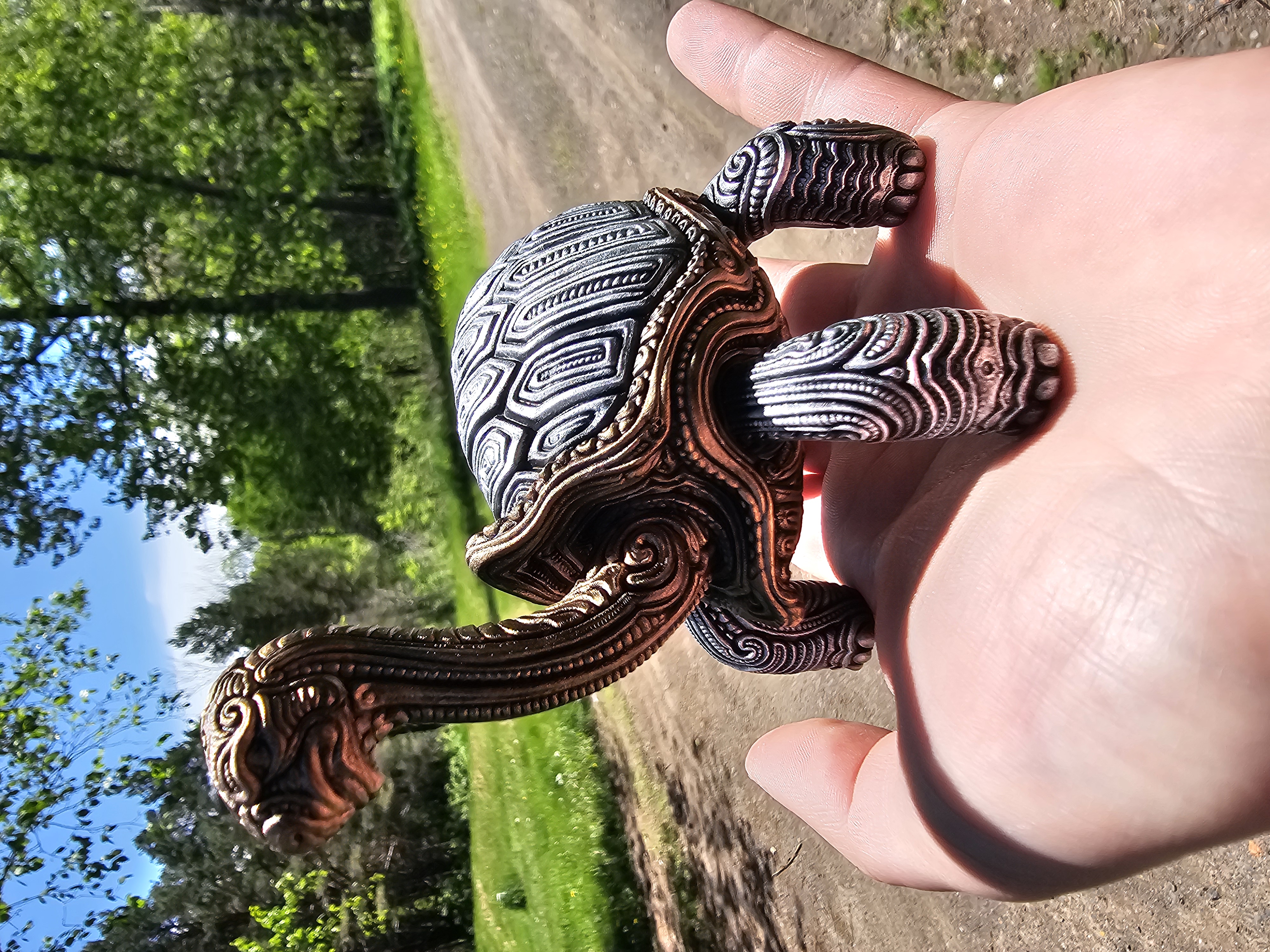 Tortoise