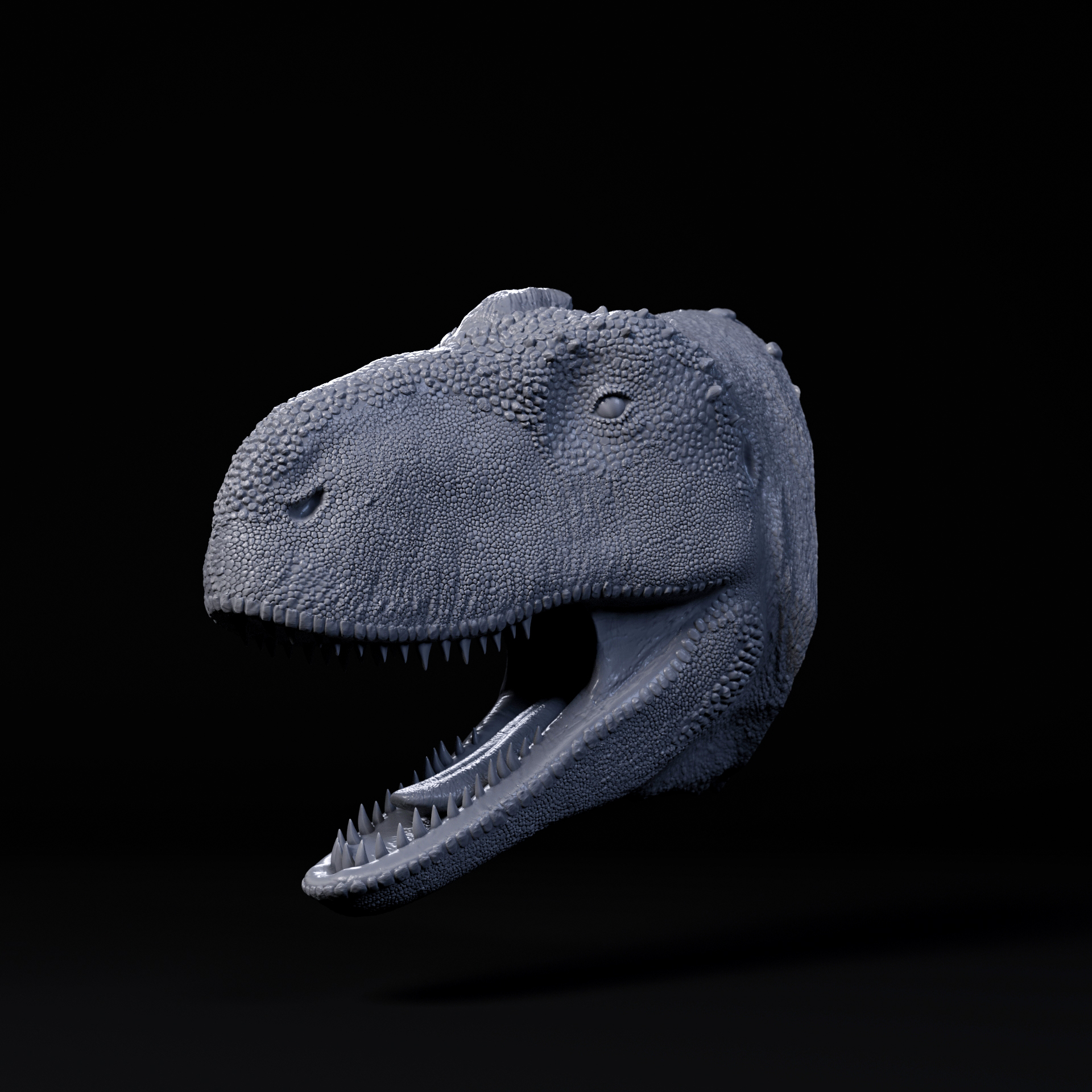 Rajasaurus mount/head