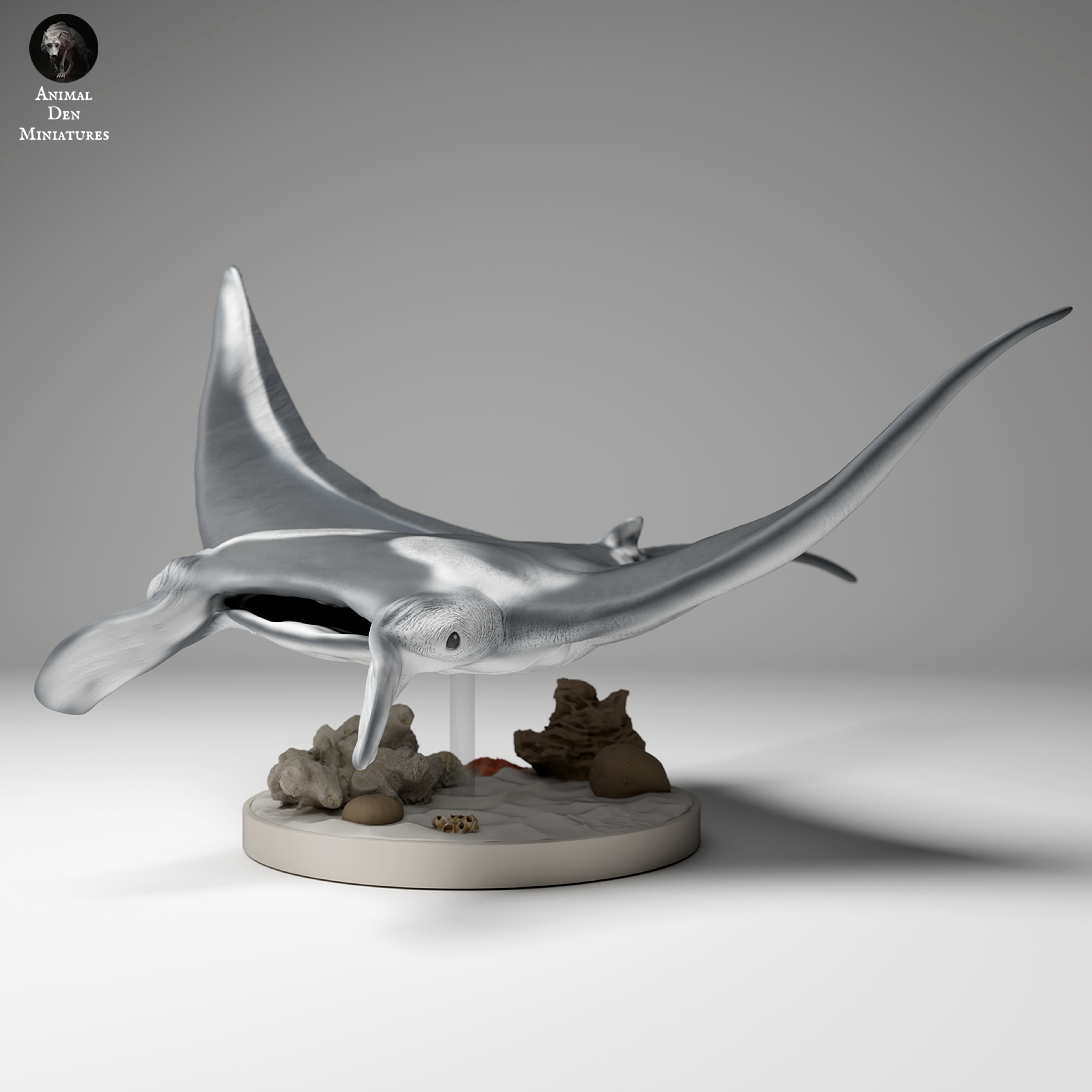 Reef Manta Ray