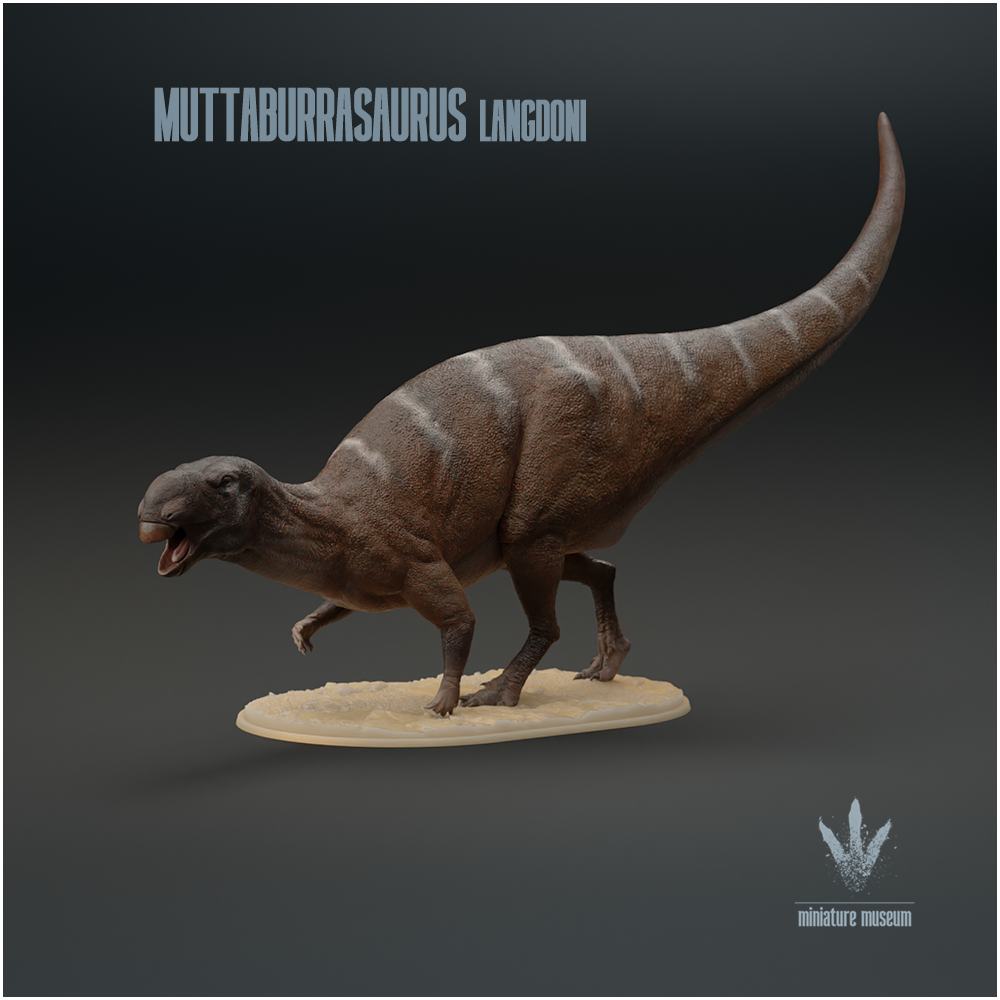 Muttaburrasaurus langdoni : Walking
