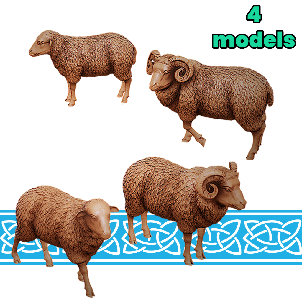Sheep and Ram