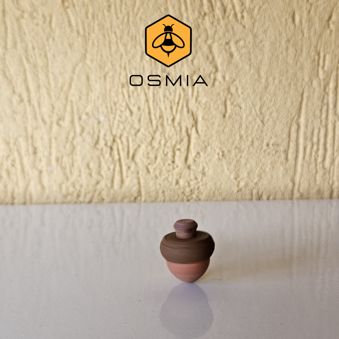 Osmia Nutshell Spinning Toy Keychain