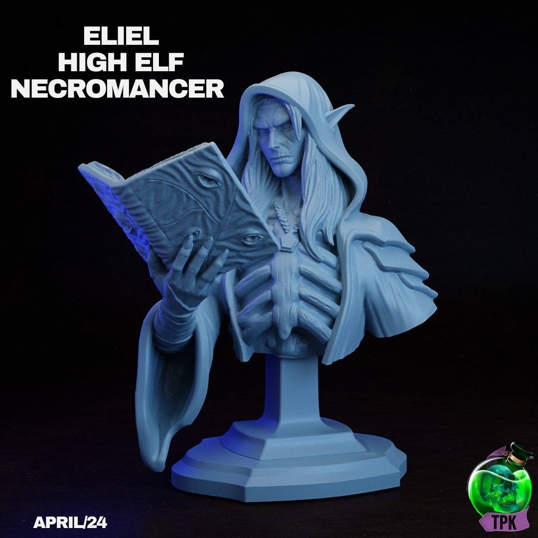 Eliel High Elf Necromancer