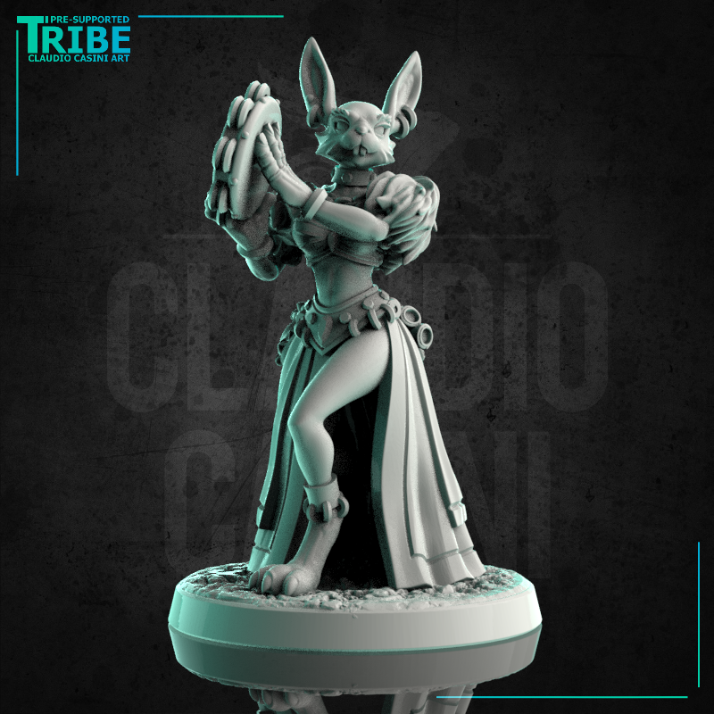 (0211) Female Rabbitfolk bard gypsy with tambourine