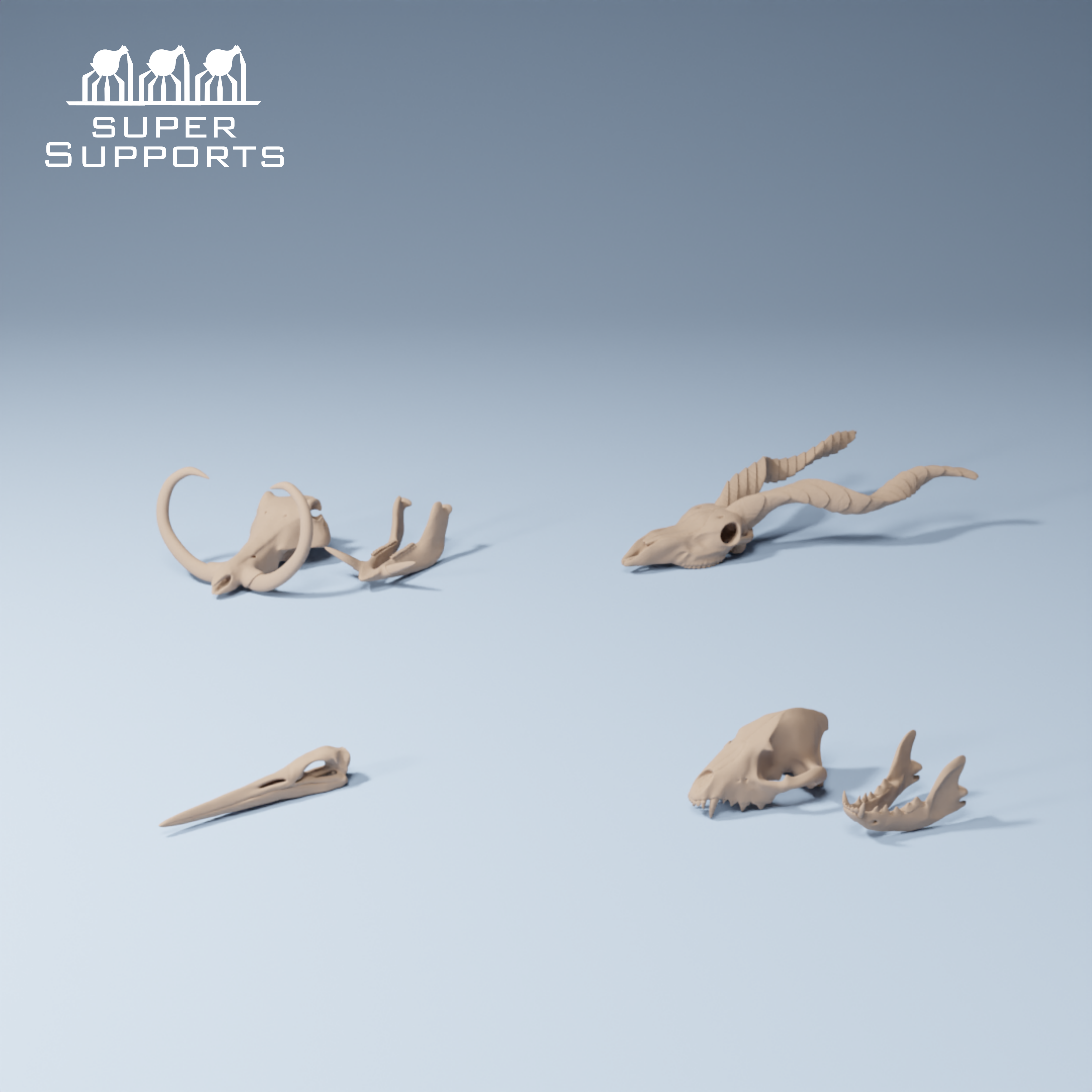 Animal skulls group 7