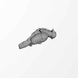 Slug goblin