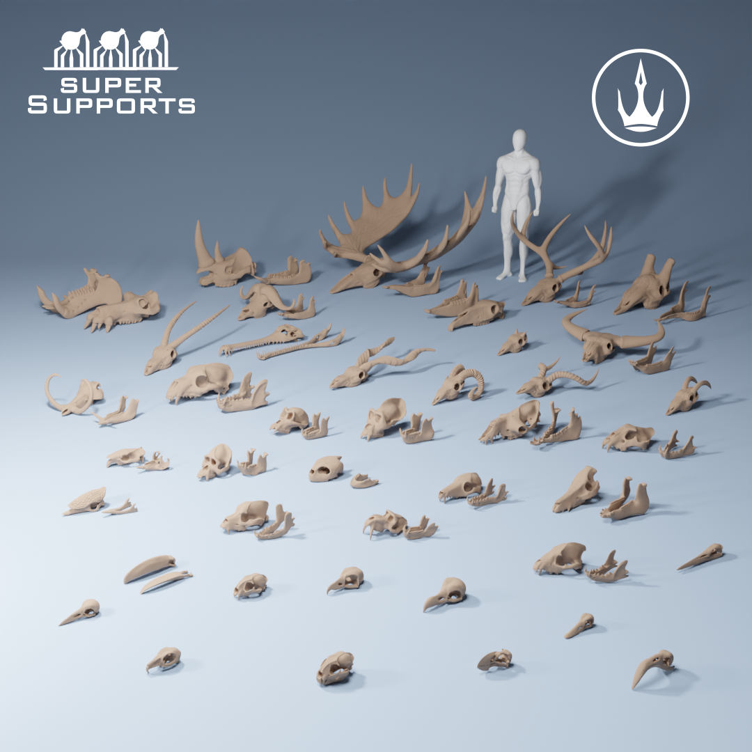 Animal skulls 1-10