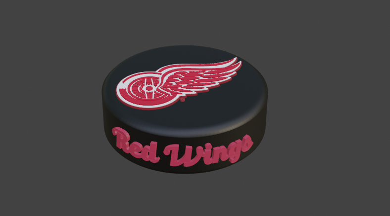 Detroit Red Wings Hockey Puck