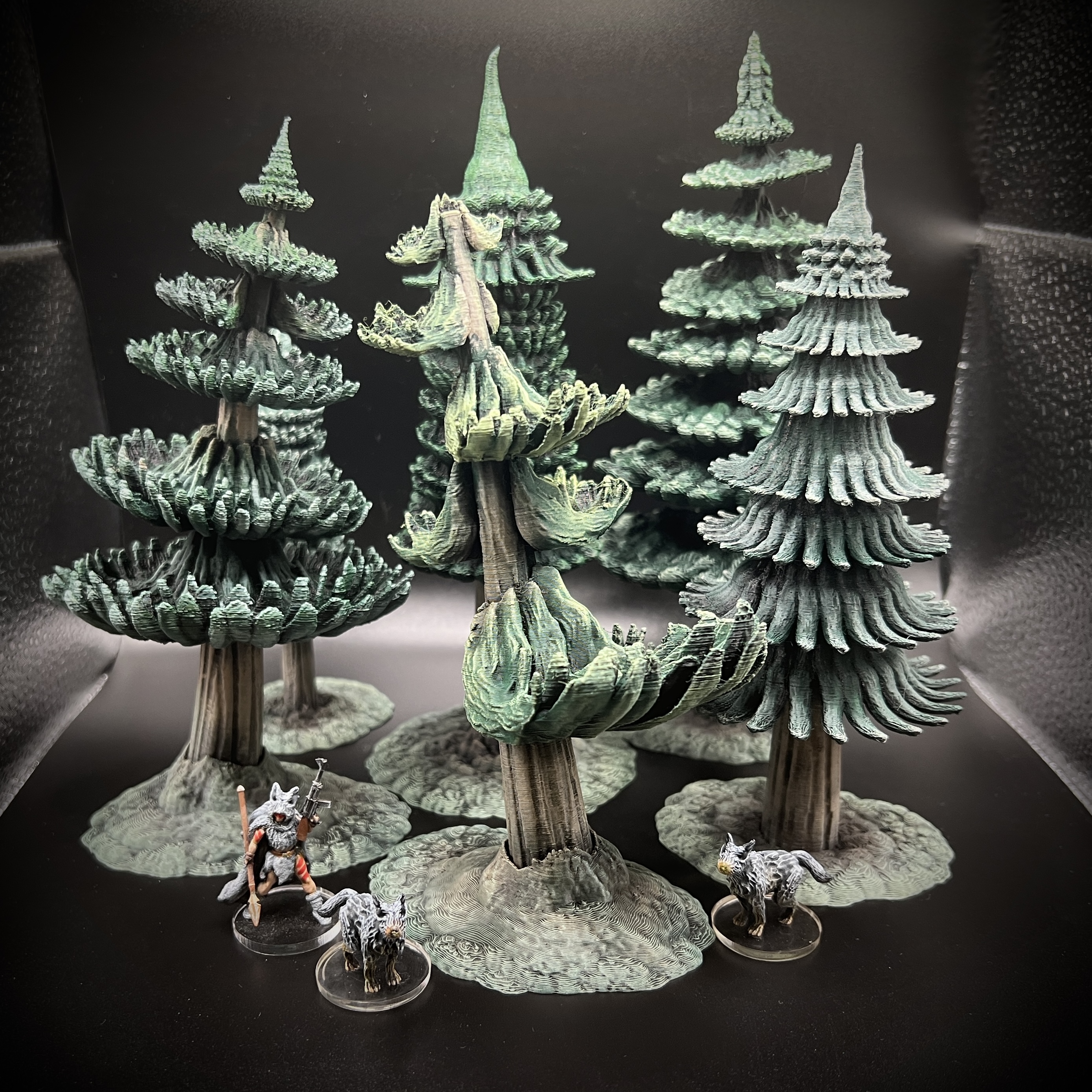 Wilderscape: Northern Forest