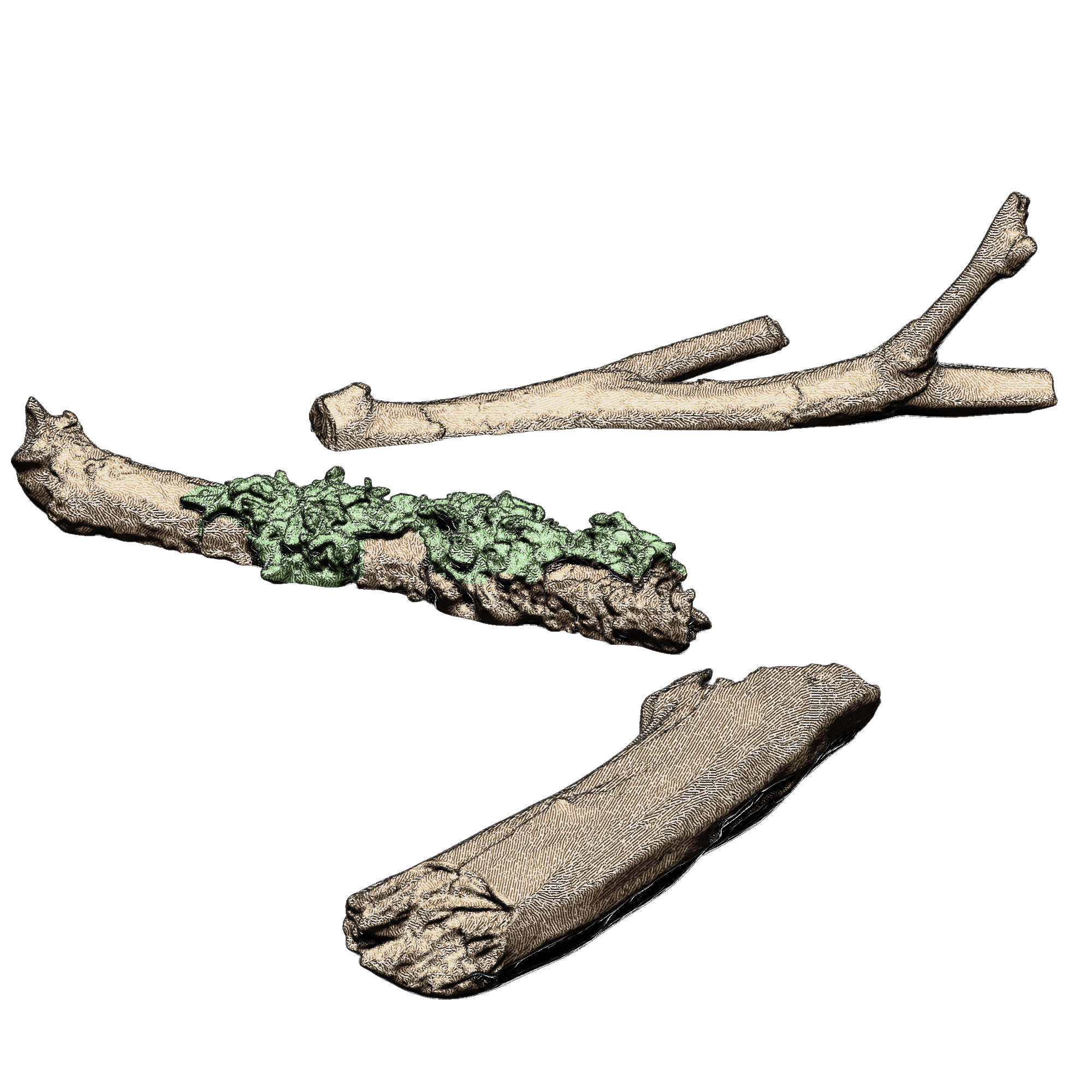 Wilderscape: Logs (Series 2)