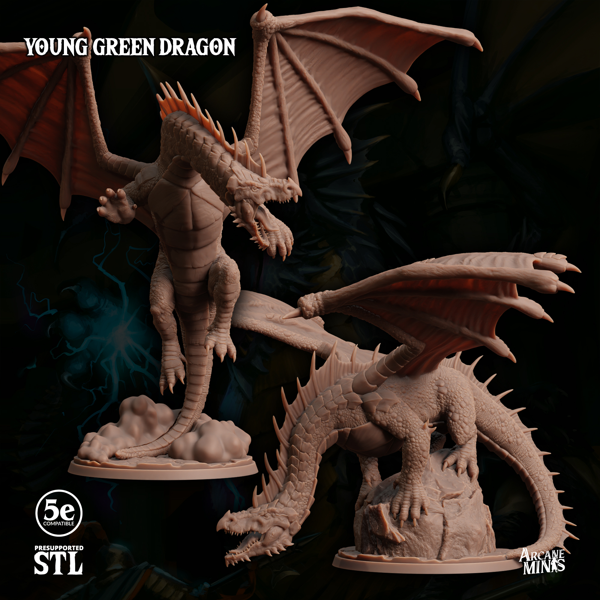 Young Green Dragon