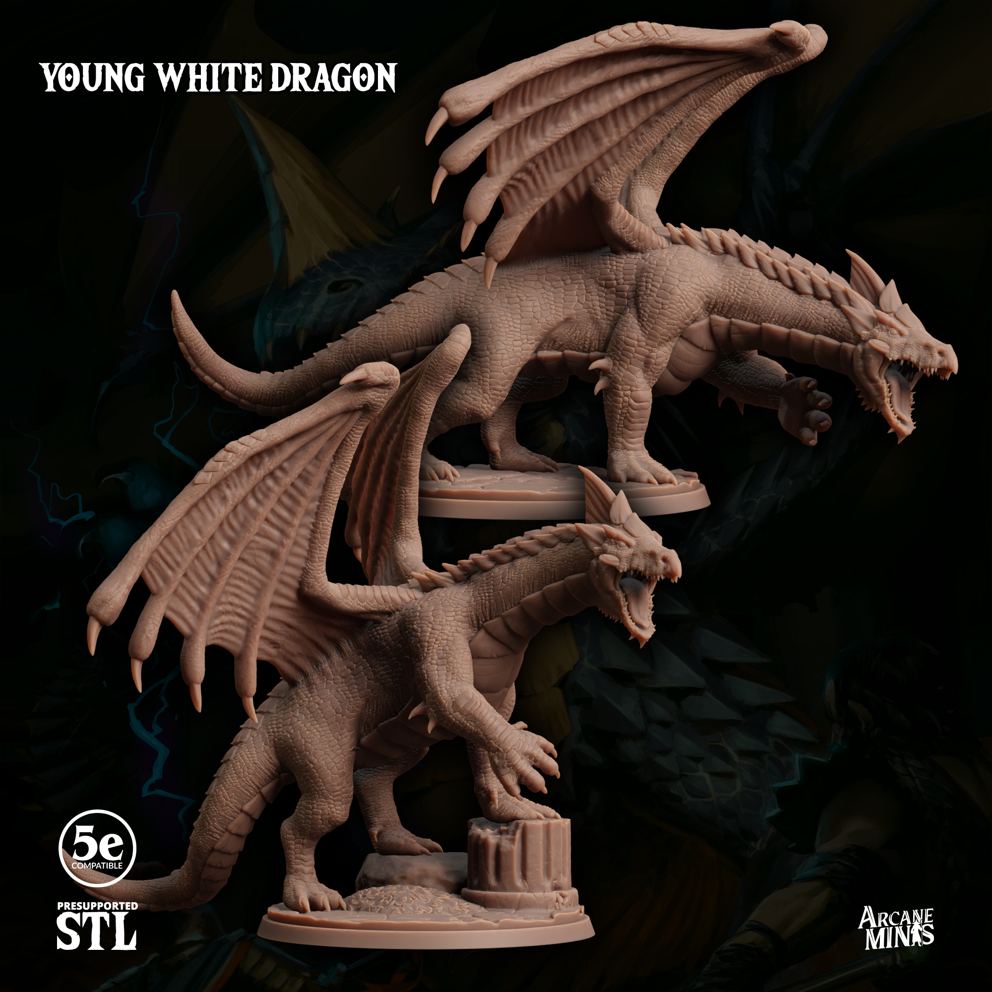 Young White Dragon