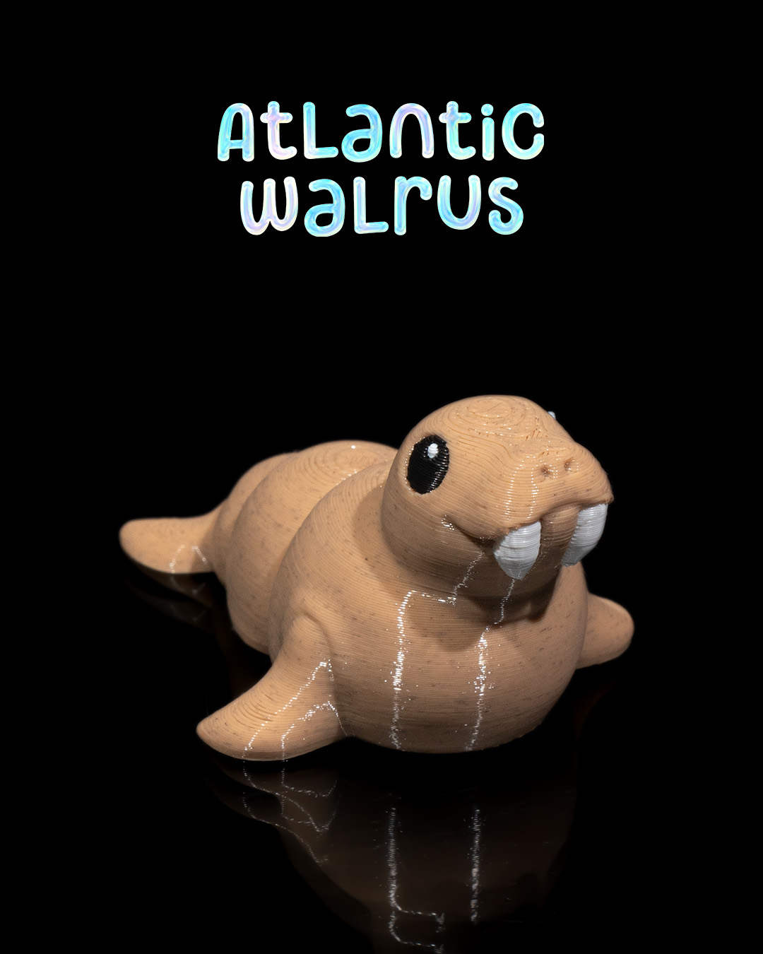 Atlantic Walrus