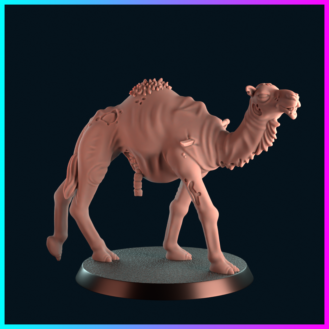 Napoleonic Dread - Zombie Camel 1