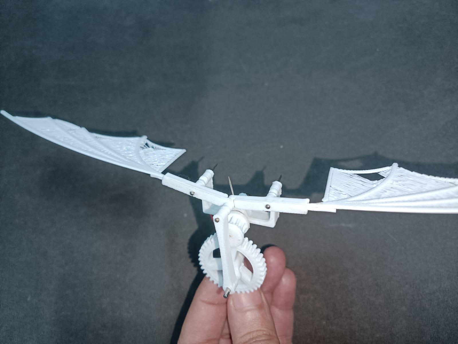 Mechanical Bird (Ornithopter)