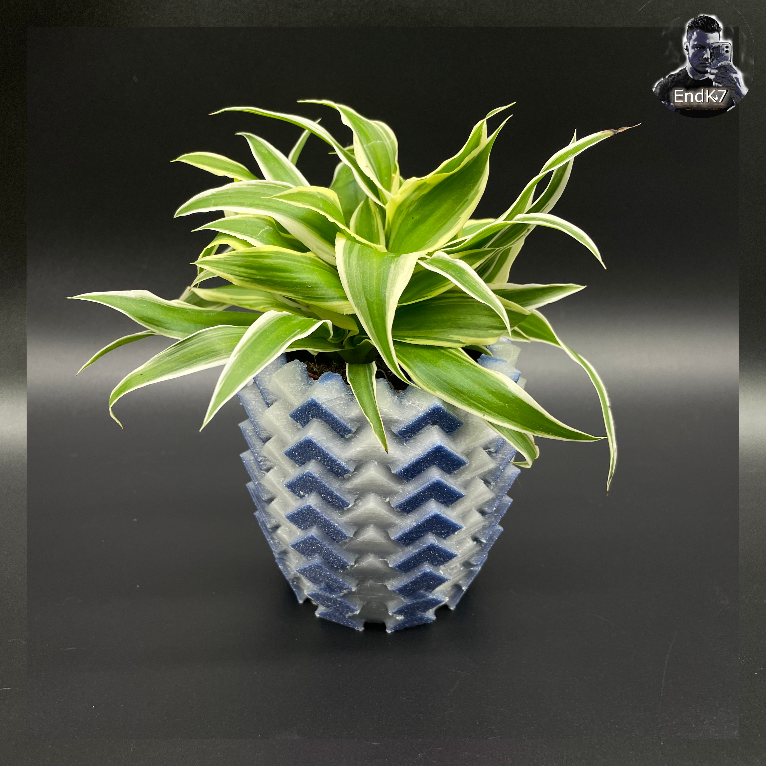 Geometric Planter No. 1