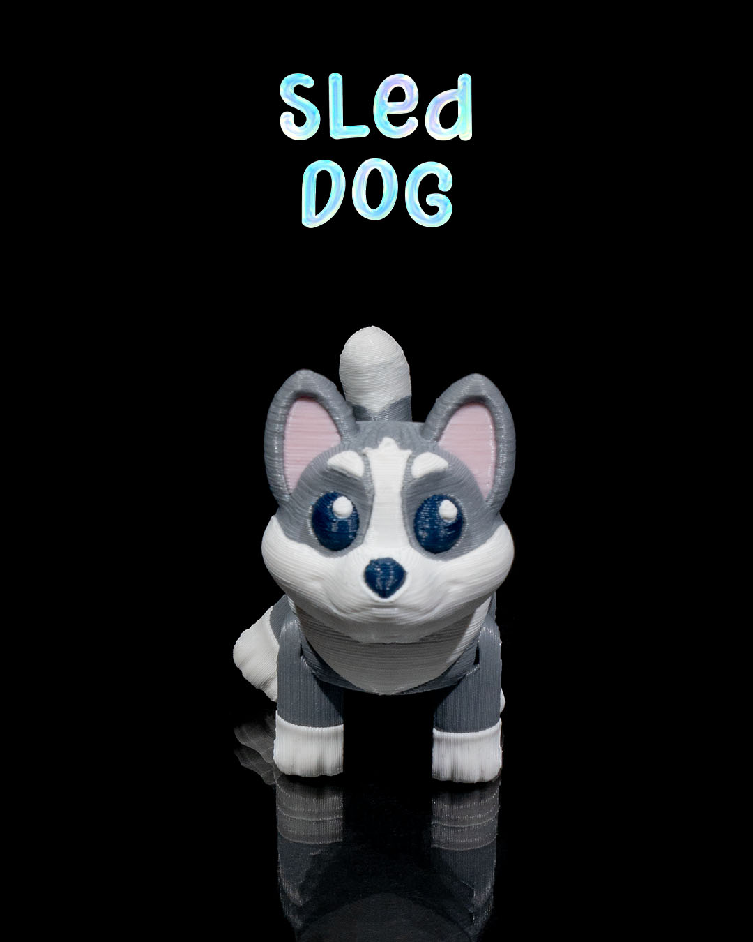 Sled Dog