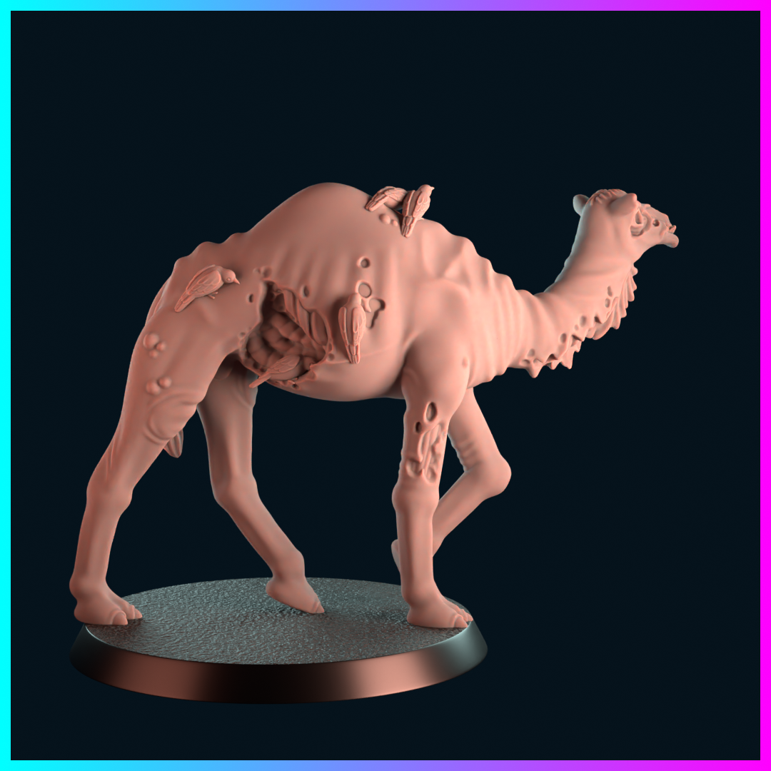 Napoleonic Dread - Zombie Camel 2