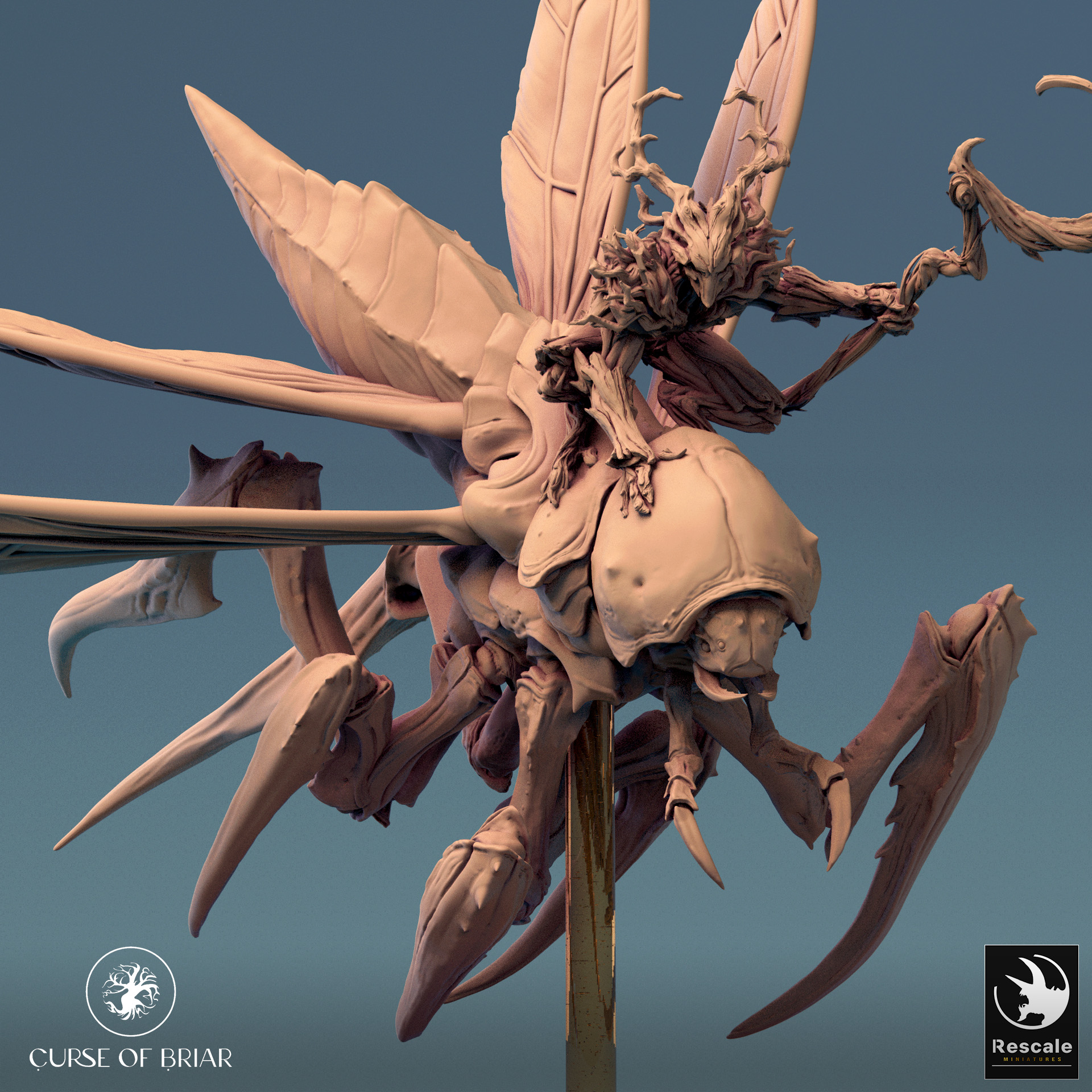Fyrionis Fly Turn B