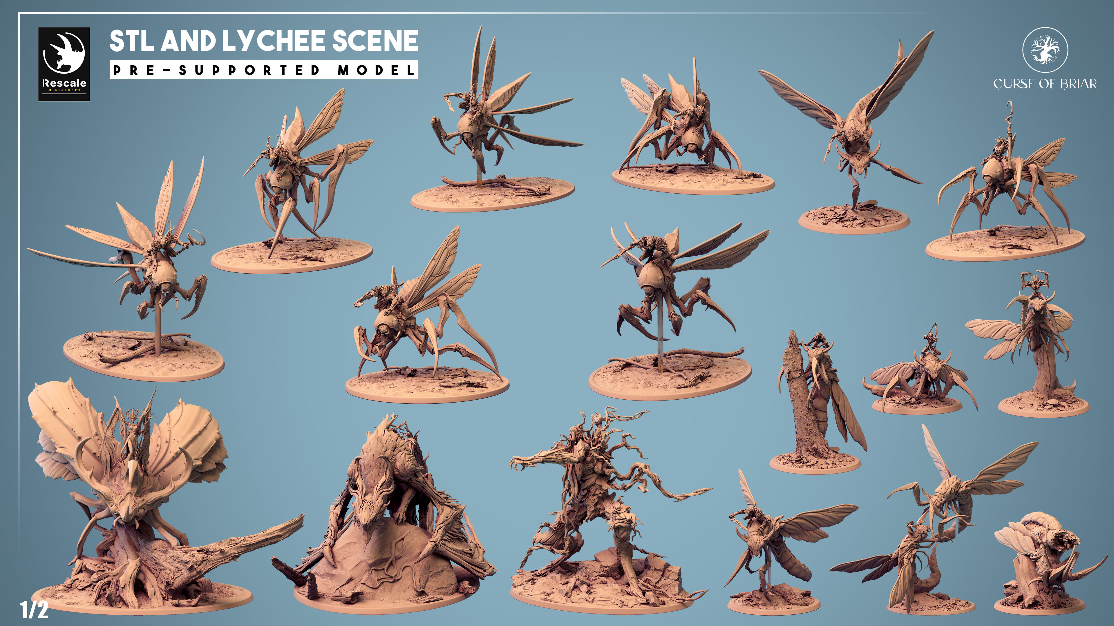 Release : Curse of Briar