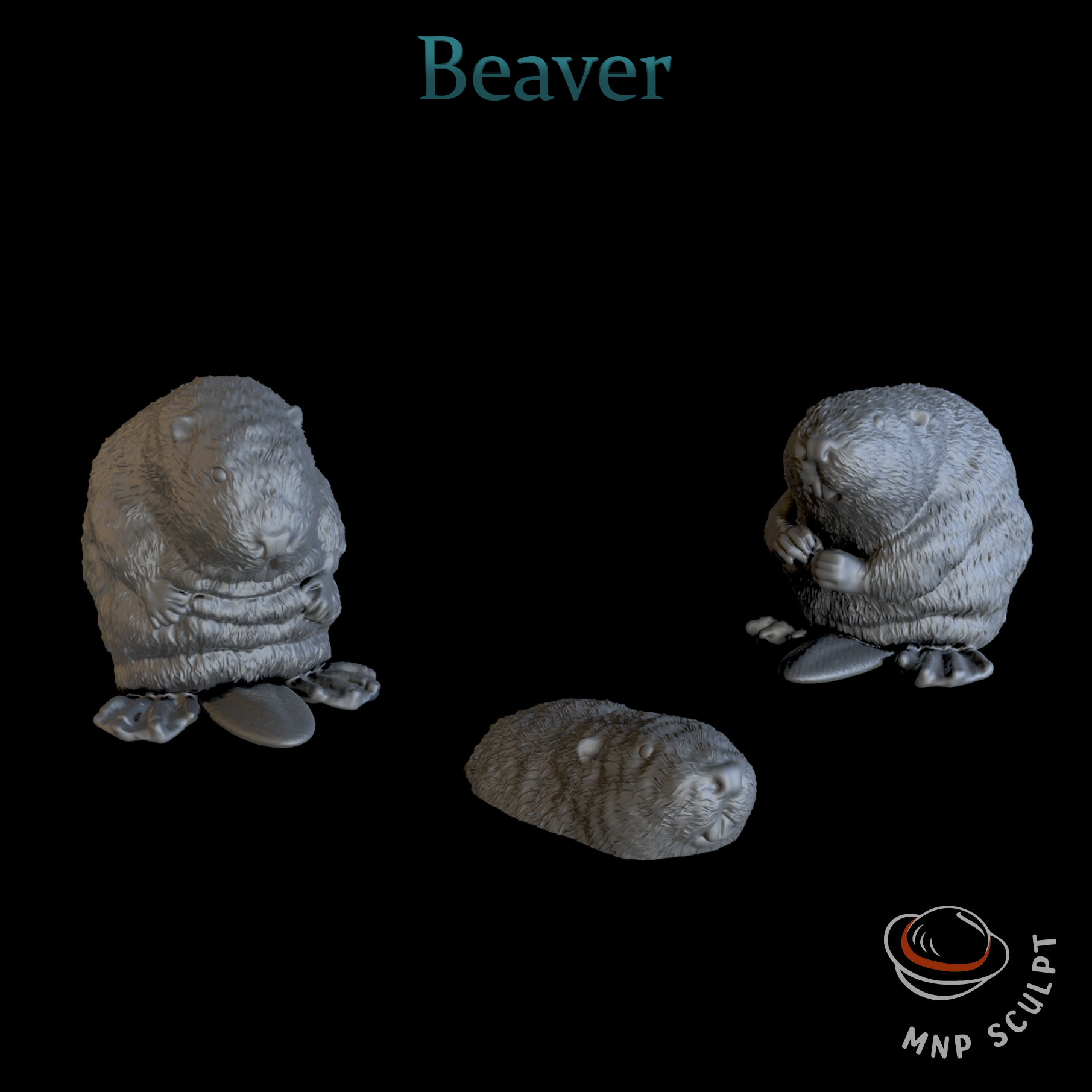Beaver
