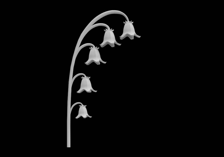 Campanula flowers
