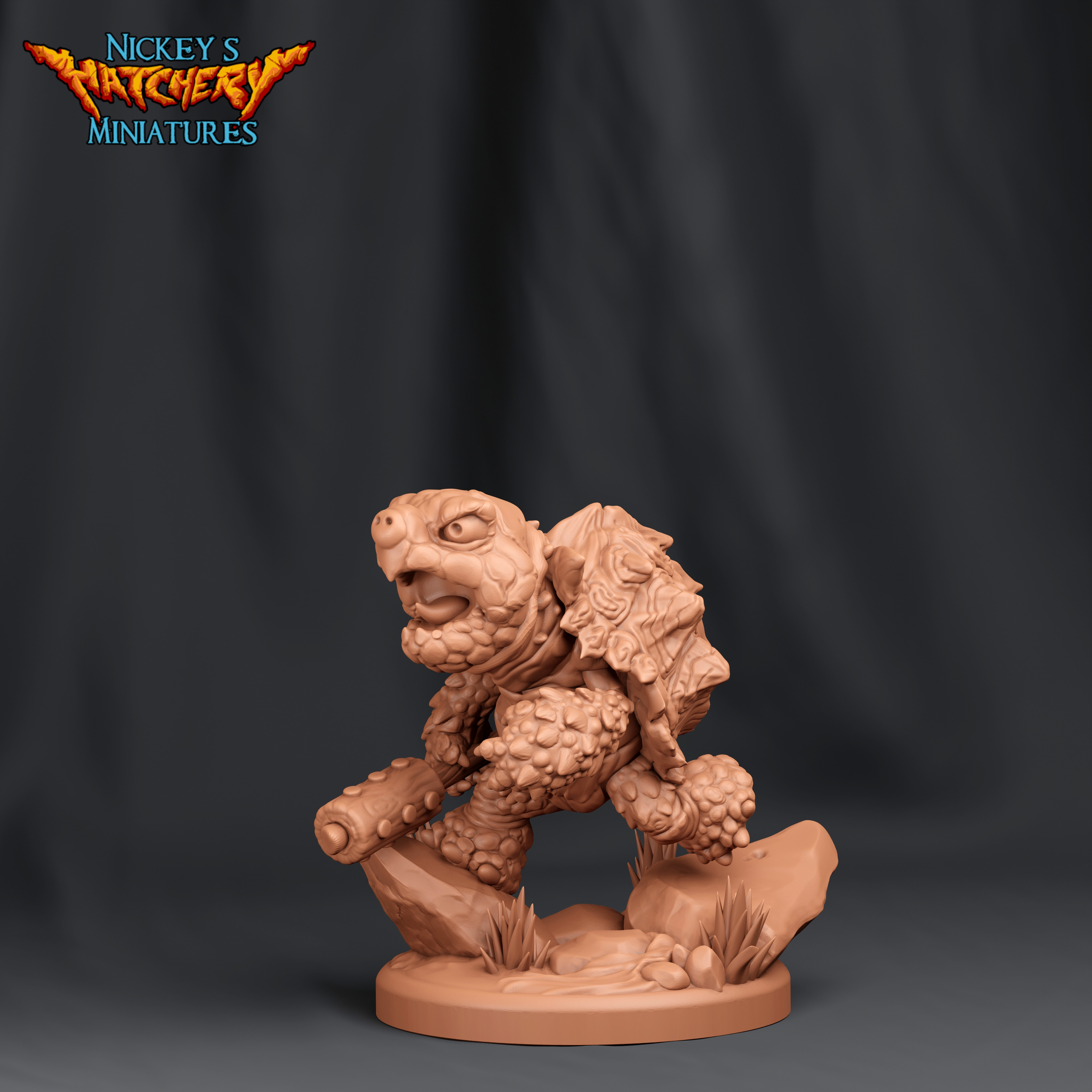 Little Bori, Aspiring Tortle Fighter! | Running Version