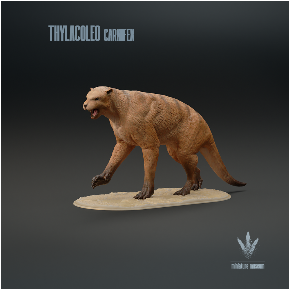 Thylacoleo carnifex : Walking