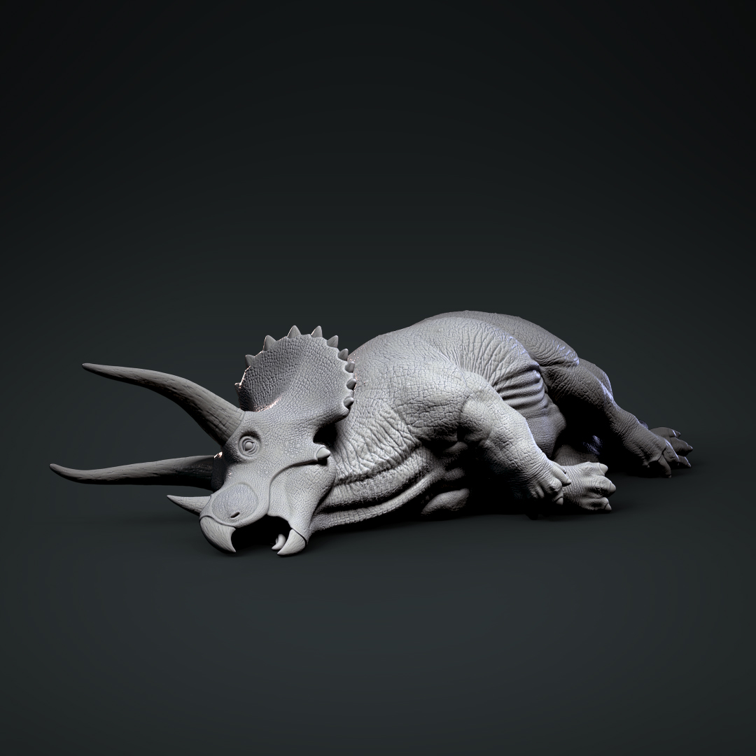 Dead Triceratops