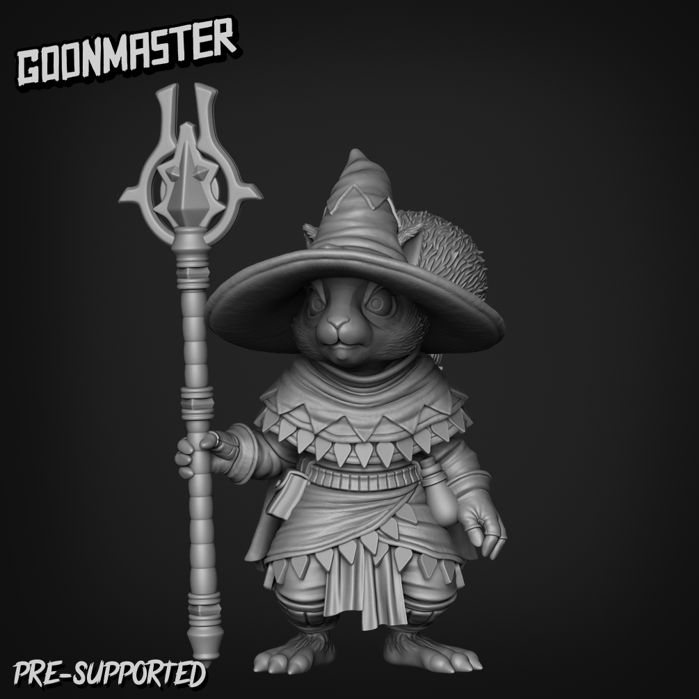 Squirrel Wizard 1