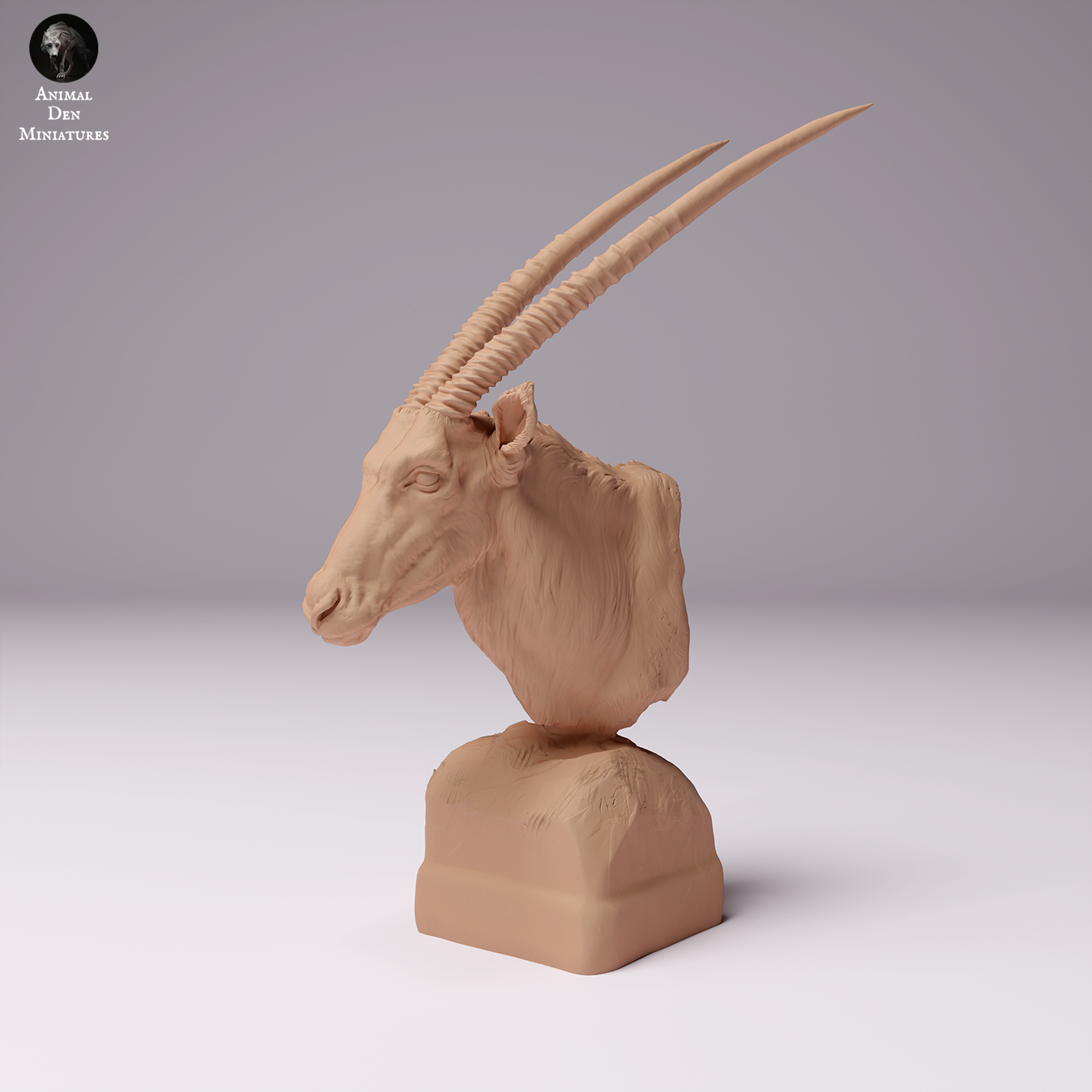 Gemsbok Bust