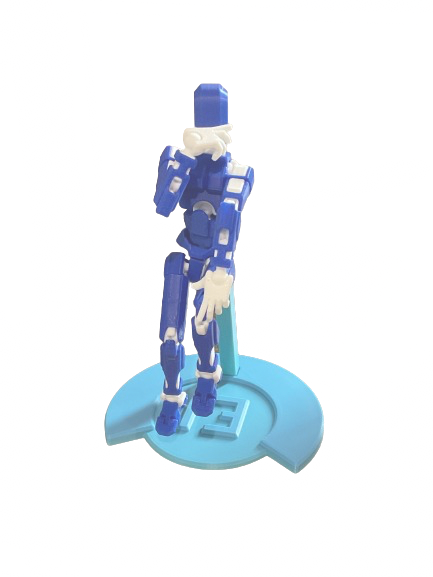 Dummy 13 Female