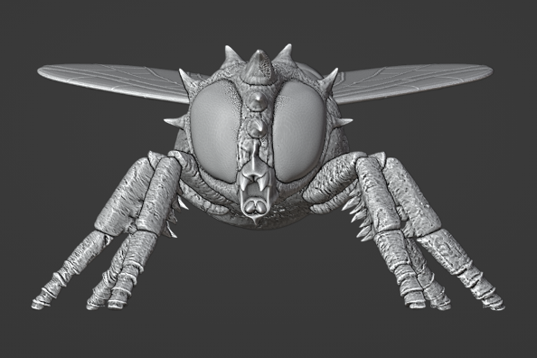 Giant Fly