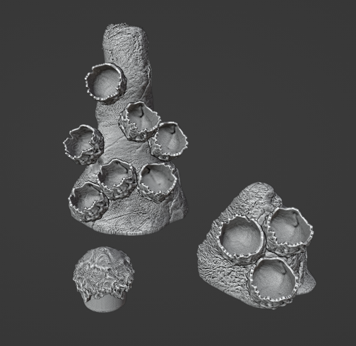 Alien Eggs Clusters