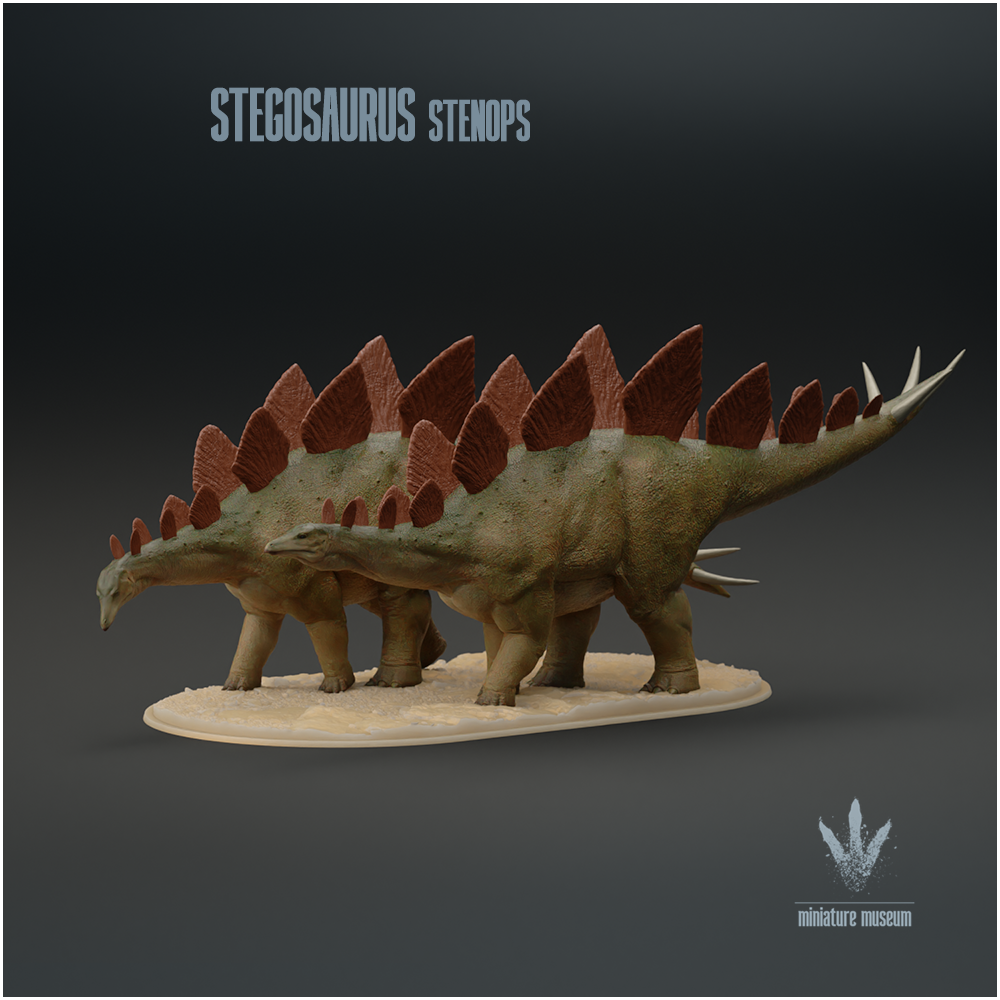 Stegosaurus stenops: Migration