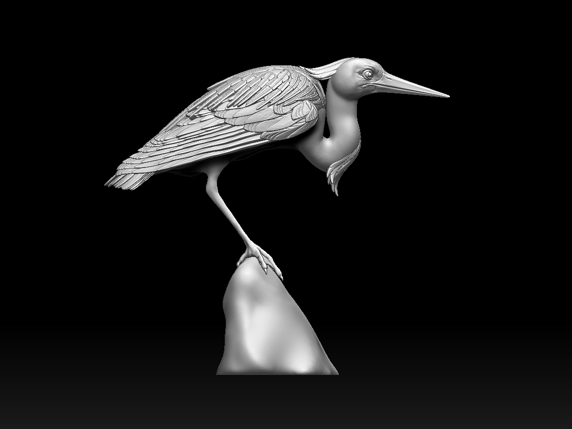 heron bird