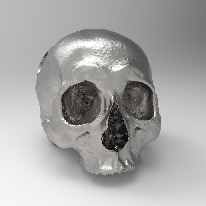 Skull Pendant – Dark Elegance 3D Print Jewelry