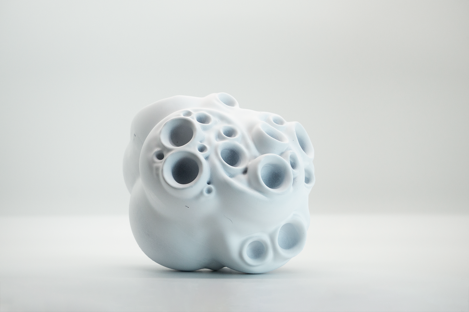 Bulbous Plant