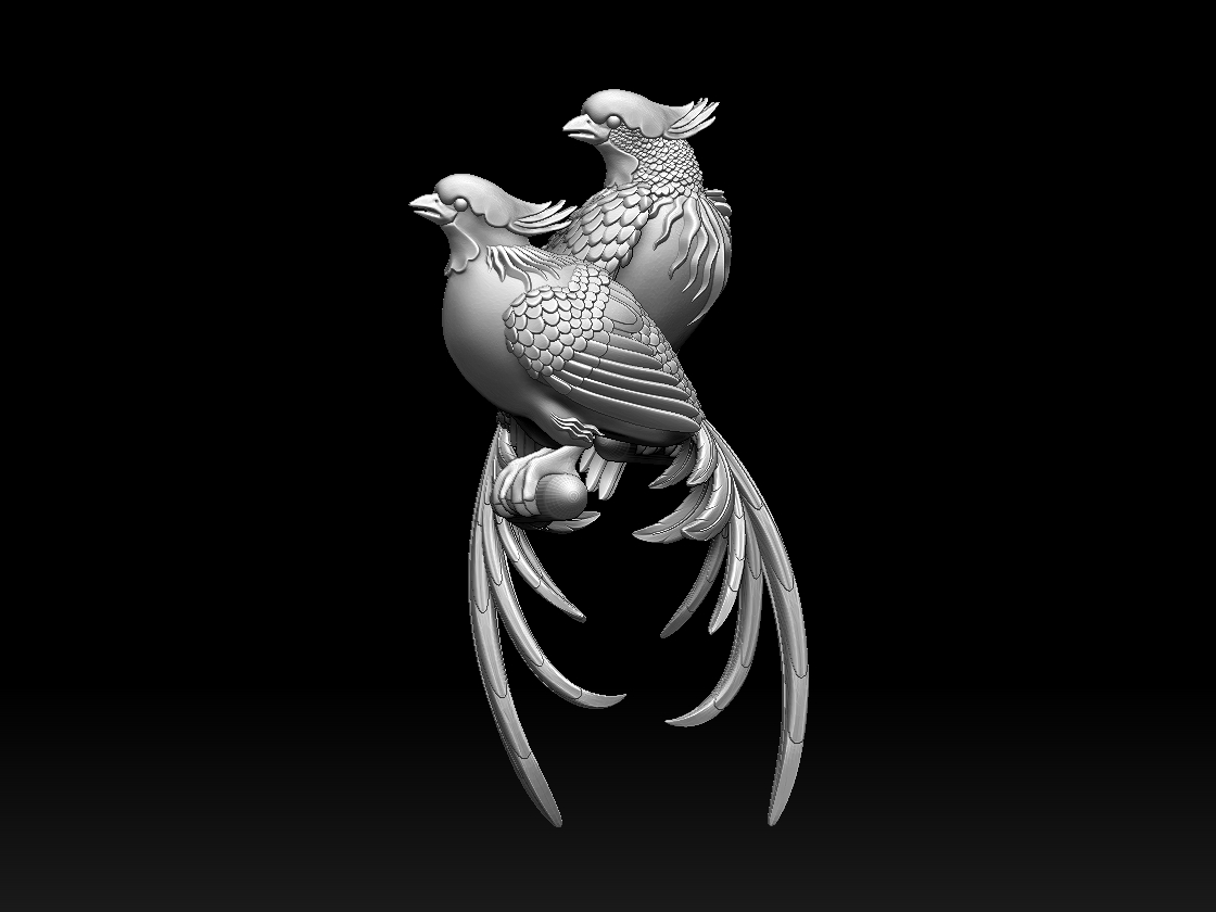 birds