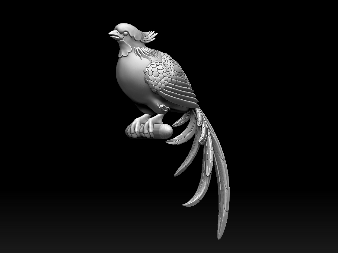 bird