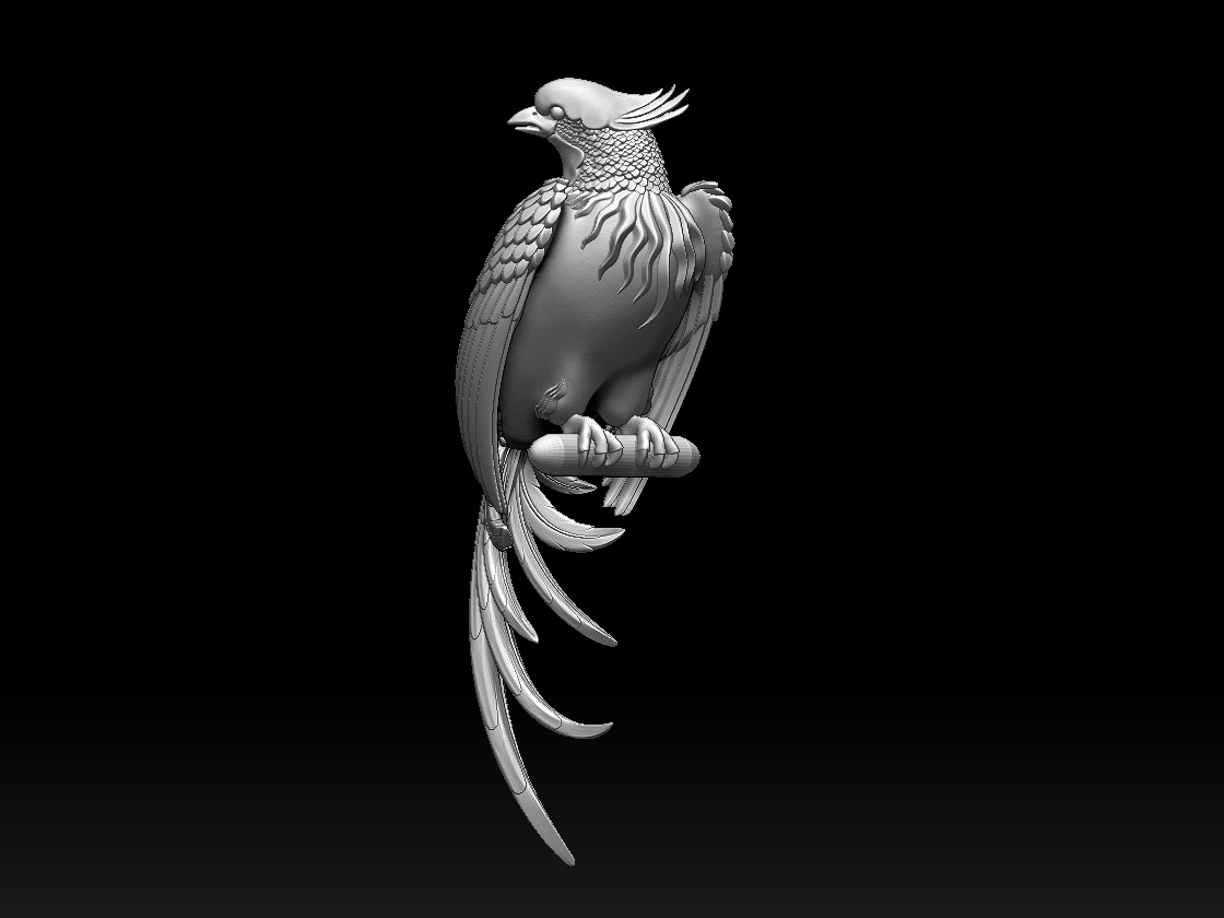 bird