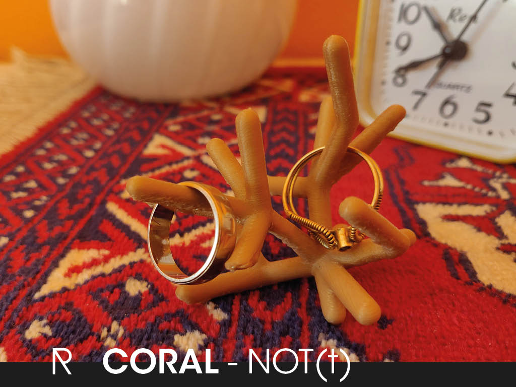 Coral: Jewerly holder & support test
