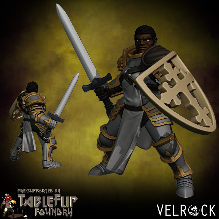 Sanctuary Paladin (PRESUPPORTED)